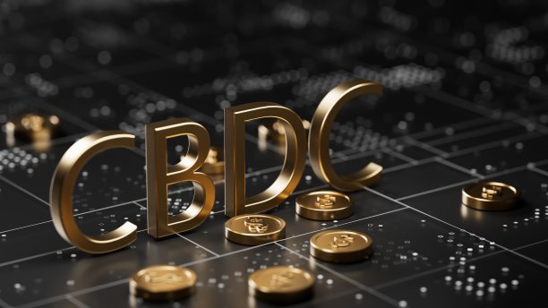 特朗普叫停央行数字货币(CBDC)的影响及建议 国际