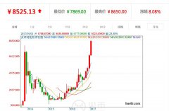 比特币突破历史最高价8000元 英媒报称其价值为零