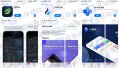 苹果你对区块链应用的审