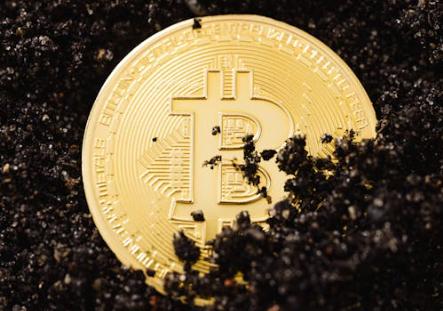 Bitcoin Treasury Capital CEO:将继续比特币财务战略