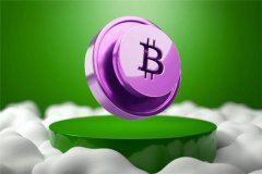 全球跨境数字支付生态联