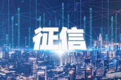 大模型+量化企业征信行业